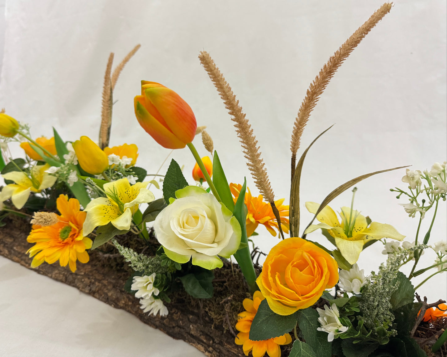 Kiststuk op boomstam