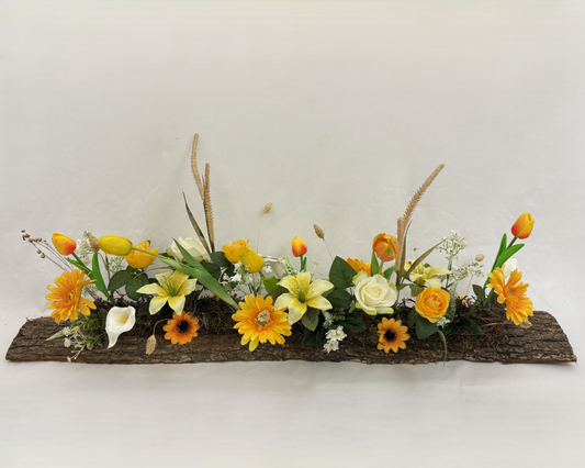 kiststuk op boomstam