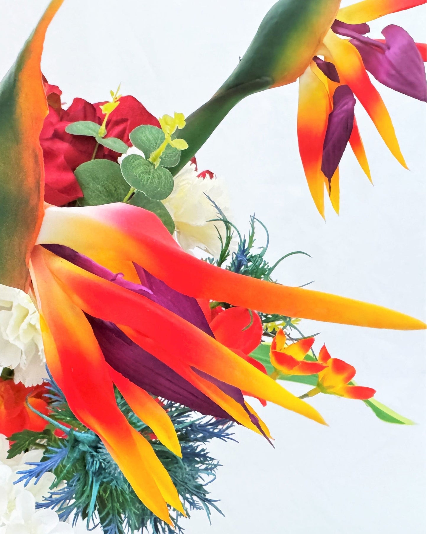 Paradijsvogelbloem
