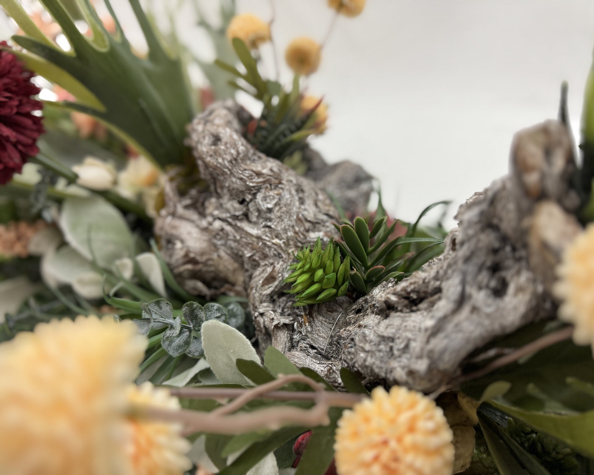 Close-up van hout in rouwstuk met vetplantje