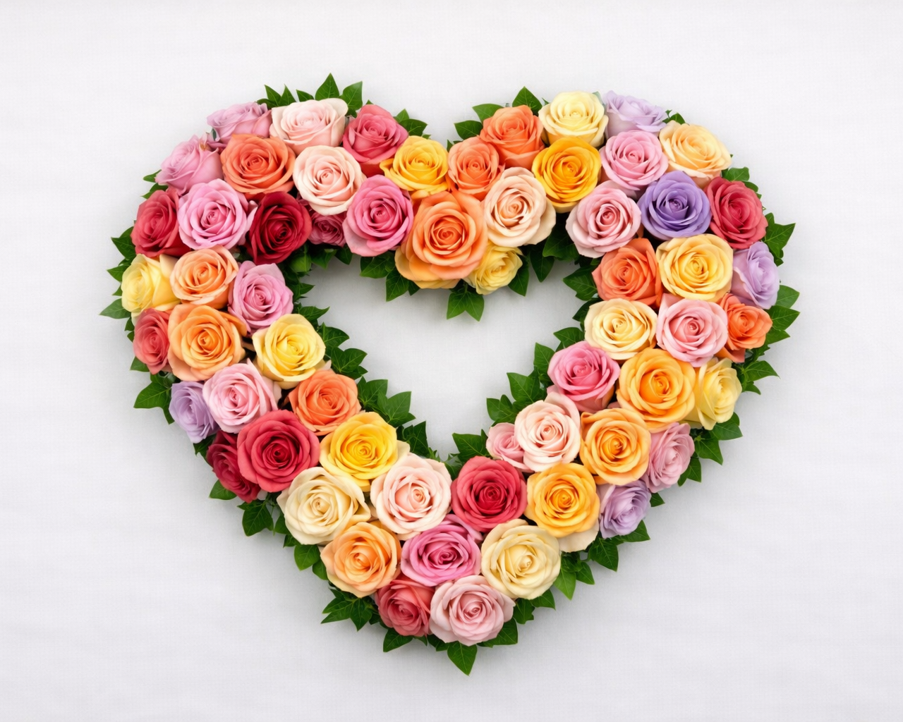 Open rouwhart diverse kleuren rozen
