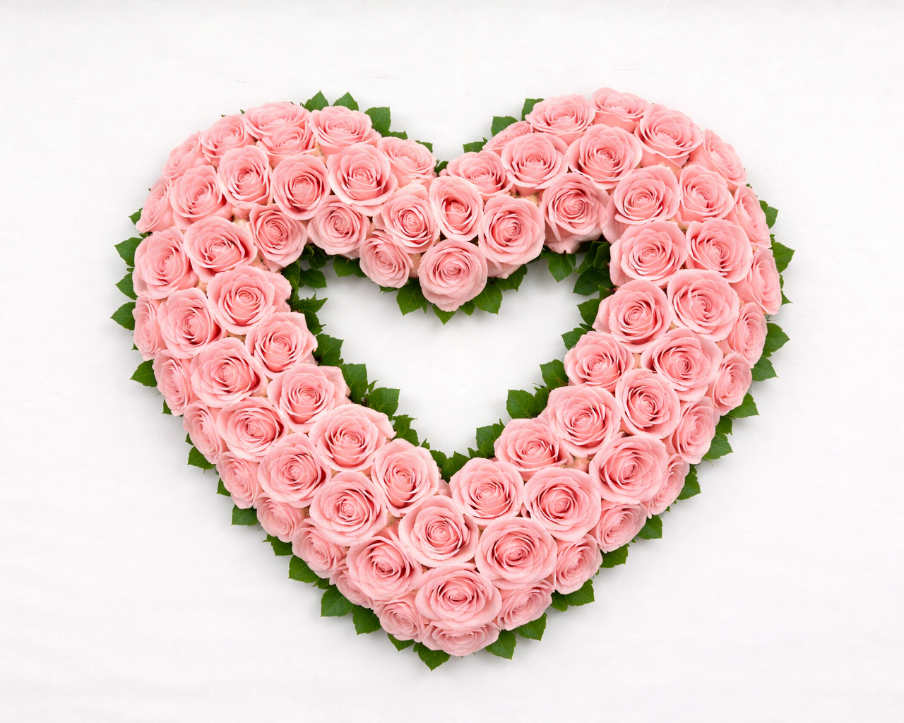 Open rouwhart roze rozen