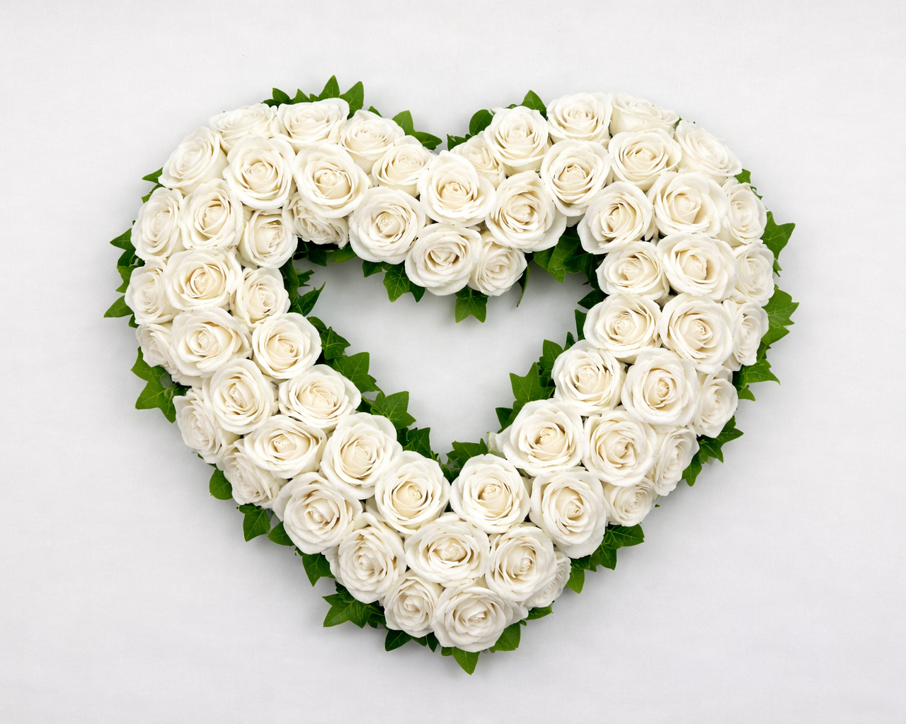 Open rouwhart witte rozen