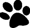 Pictogram toevoegen